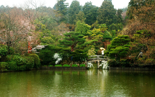 643605 (a): :2560x1600